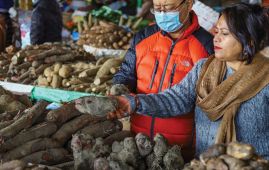 Yams supply up in market ahead of Maghe Sankranti