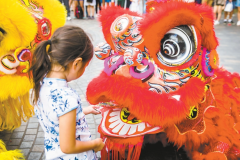 传统与节日：春节和达芒祖新年的文化交汇