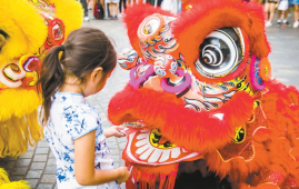 传统与节日：春节和达芒祖新年的文化交汇