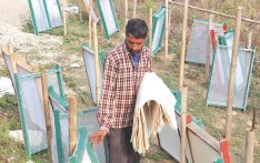 Nepali paper made from banana stems