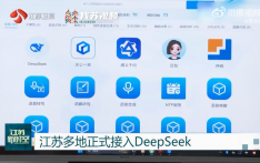 “AI公务员”来了！人类“饭碗”不保？Deepseek这样说