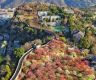 Plum blossoms add color to east China's city