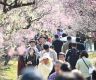 People enjoy spring across China