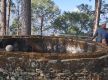 Kotgadhi with a 300-year history in Khotang awaits preservation