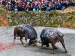 Guzang Festival celebrated in China's Guizhou