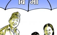 गण्डकी प्रदेशमा स्वास्थ्य बिमितको सङ्ख्या ४९ प्रतिशत