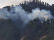 100 hectares of forest lost to wildfire in Myagdi