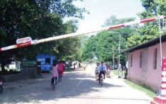 गड्डाचौकी नाकाबाट विदेशी पर्यटक भित्रिने क्रम बढ्दो