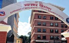 ९ महिनामा नेपालको निर्यात ६५ प्रतिशतले वृद्धि, ठूलो हिस्सा सोयाबिन तेल