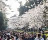  Spring is here, China's tourism economy in full bloom