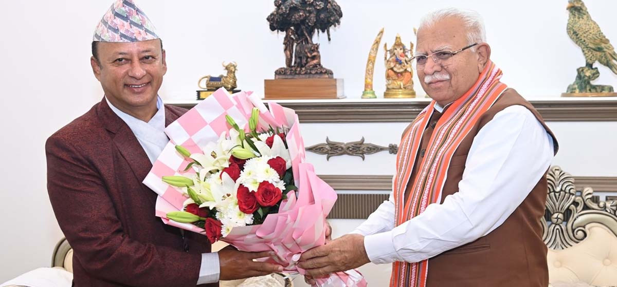 indian electricity minister