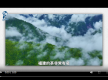何以中国丨中国超有young：西班牙小哥的茶香奇遇记
