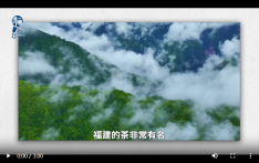何以中国丨中国超有young：西班牙小哥的茶香奇遇记