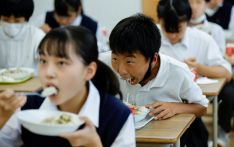 “25年来首次！”日本从韩国进口大米