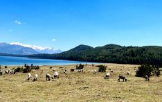 आहा रारा ताल