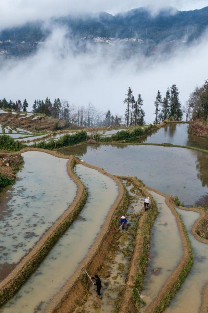 yunnan