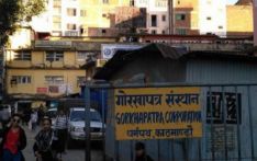 देशभर ‘दसौँ राष्ट्रिय पत्रकारिता दिवस’ मनाइँदै