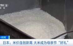 日本大米价格飙升，成母亲节“好礼”？发生了什么？
