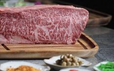 澳媒兴奋：中国正增大澳大利亚牛肉进口量！