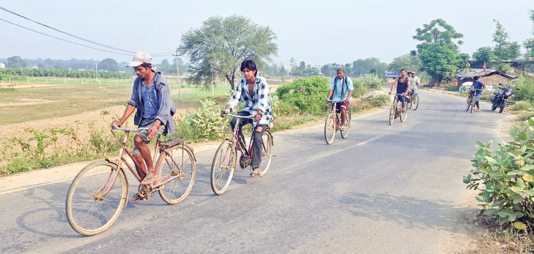 bardiya