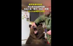 俄罗斯颁布新规：禁止民众私自养猛兽，涉120余种野生动物