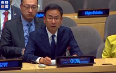 中方呼吁推动“两国方案” 让巴“灾难日”永成历史