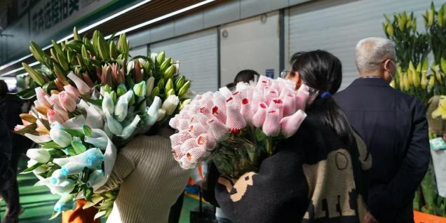 China's Yunnan sees blooming flower export