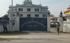 सुँगुरको खोरमा थुनेर कुटपिट : पाँच जना पक्राउ