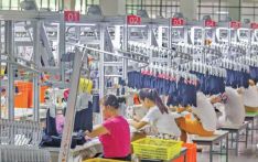 554 business firms registered in 10 months