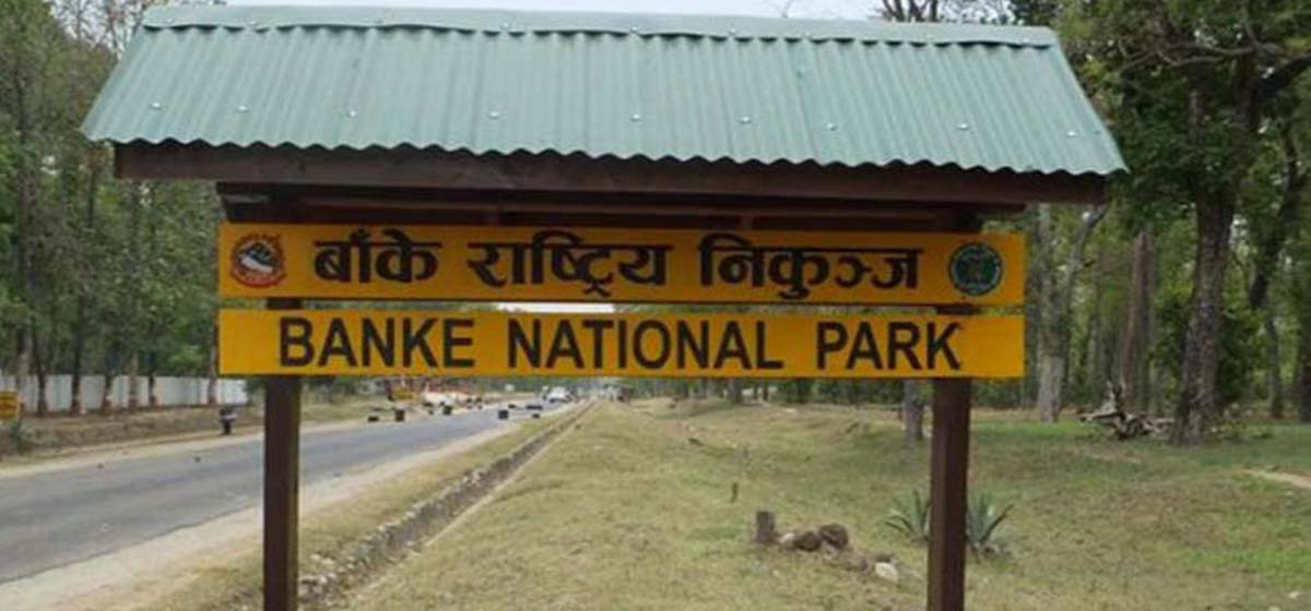 banke rastriya nikunja
