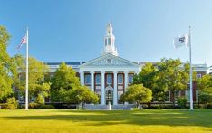 特朗普称哈佛大学外国学生比例应限制在15%左右