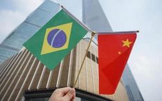 巴西媒体：中巴伙伴关系的“血脉契约”