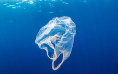 Plastic pollution reached 'unprecedented' levels
