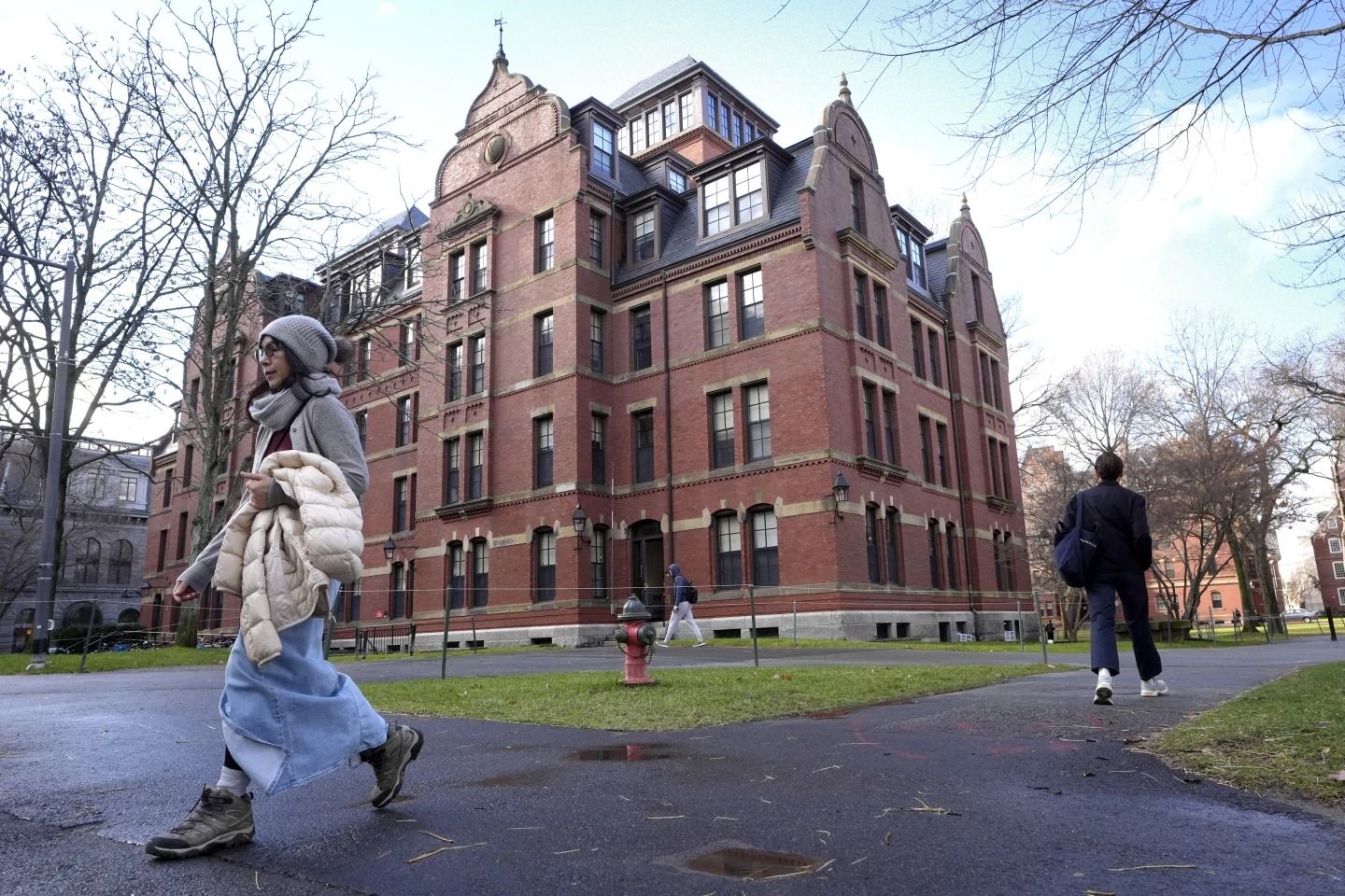 harvard-university_250608