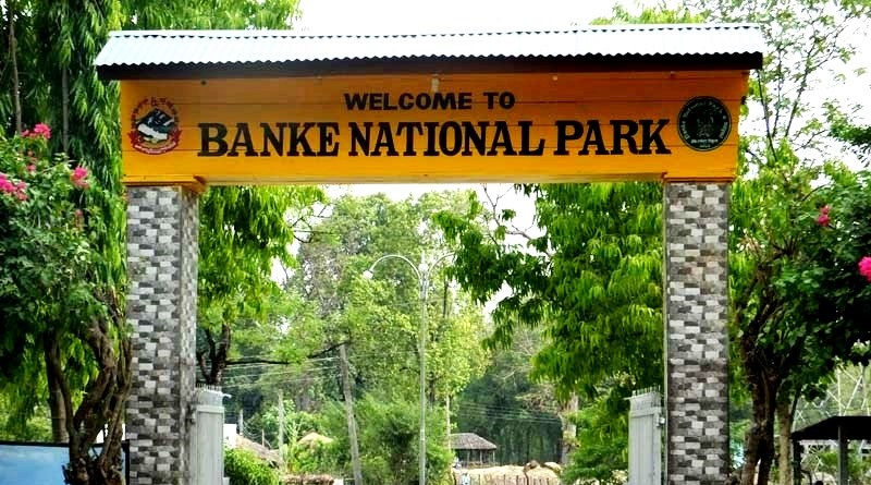 banke national park