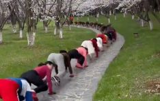 俄媒：中国人热爱“鳄鱼爬”和“抱树”