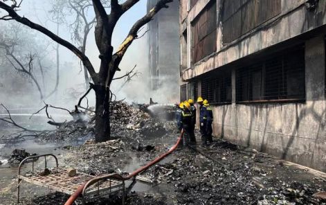 印度航空波音 787 客机起飞后坠毁 242 人遇难 含 169 名印度公民