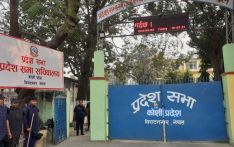 कोशी प्रदेश : बजेटको आकार ३७ अर्ब पुग्न सक्ने अनुमान