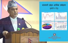 प्रदेश बागमती सरकारद्वारा १४७ वटा सडक पुल निर्माण