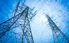 NEA resumes 40MW power export to Bangladesh