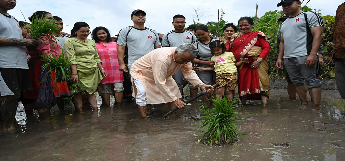 rastrapati ropaai