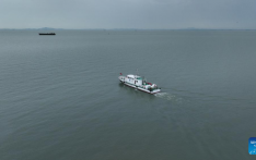 World's first pure ammonia-fueled demonstration vessel completes maiden voyage in China