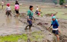यो वर्ष उत्पादन बढ्ने विश्वास