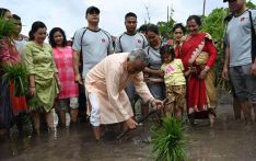 President Paudel participates in paddy transplanting ceremony