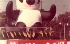 【史海回眸】1972年，“康康”“兰兰”掀起日本首次“熊猫热”