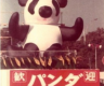 【史海回眸】1972年，“康康”“兰兰”掀起日本首次“熊猫热”