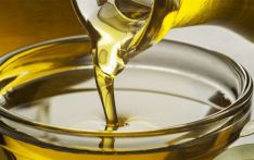 Nepal exports edible oils worth Rs 63 billion, imports equivalent amount of raw materials