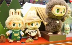 Chinese trendy toy Labubu and universal language of whimsy