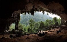 百米深峡、万年岩画 巴西这一秘境被列为世界自然遗产