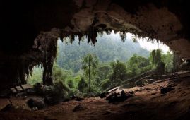 百米深峡、万年岩画 巴西这一秘境被列为世界自然遗产